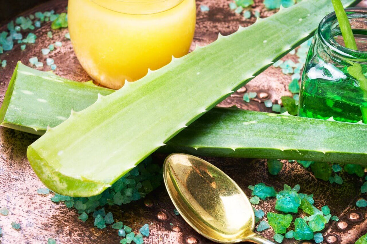 Buy Best Aloe Vera Shampoo in Pakistan