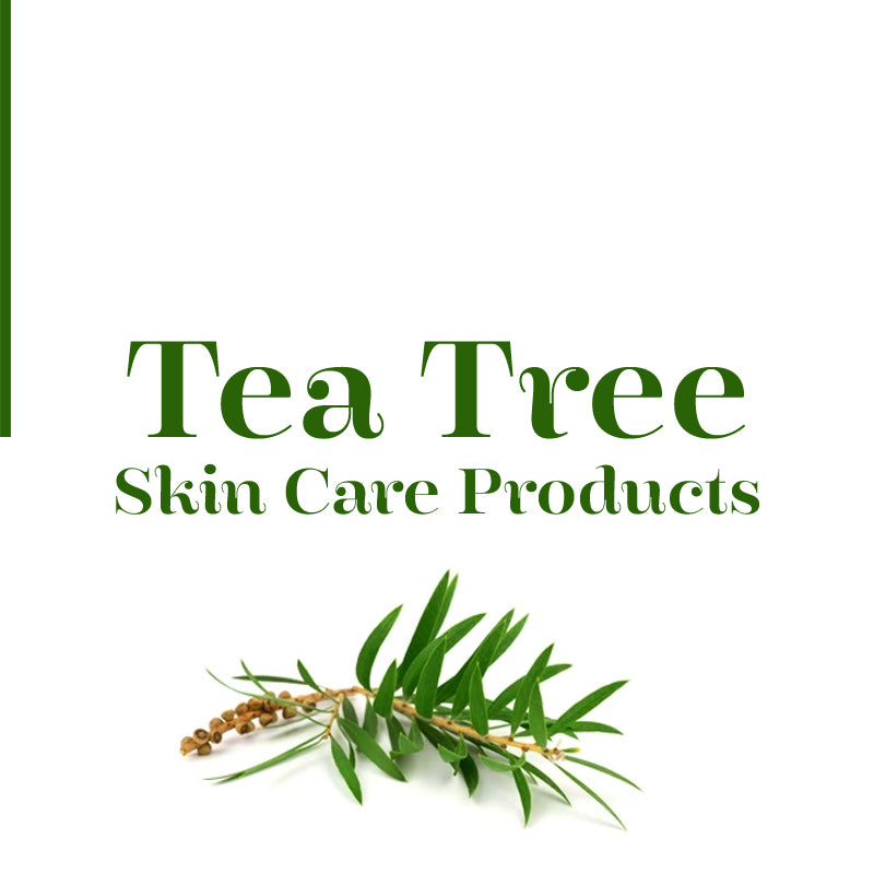 Tea tree Series – auragano