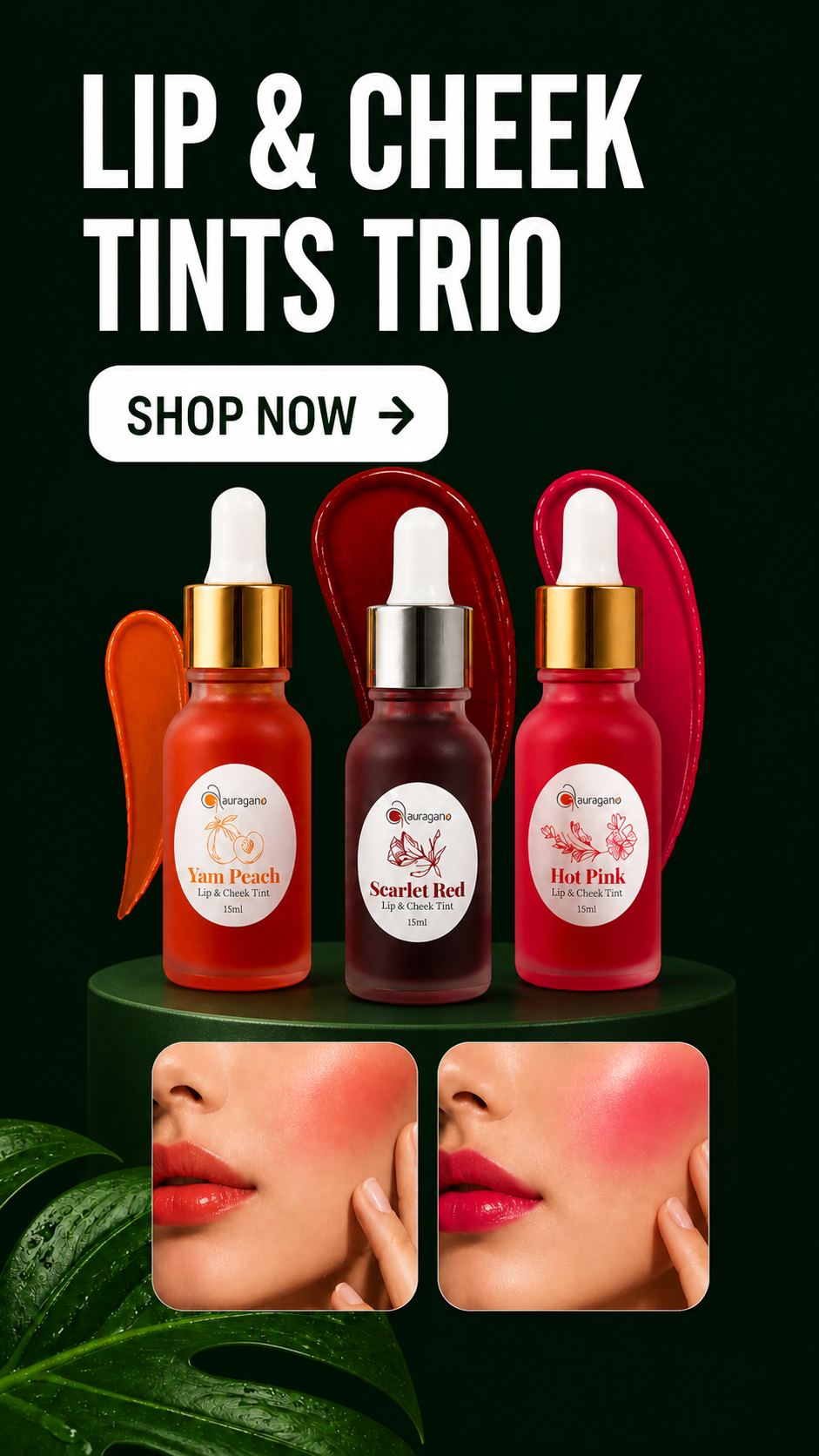 tint price is pakistan